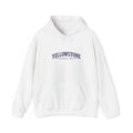 Yellowstone Hoodie | Vintage Collegiate Park Design